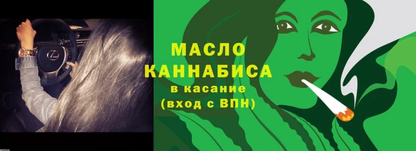 индика Абдулино