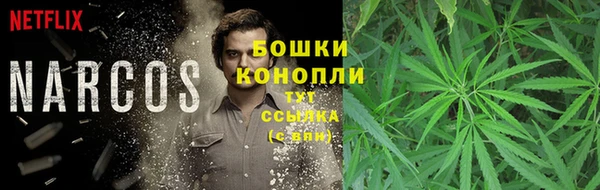 индика Абдулино