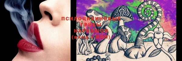 трава Абинск