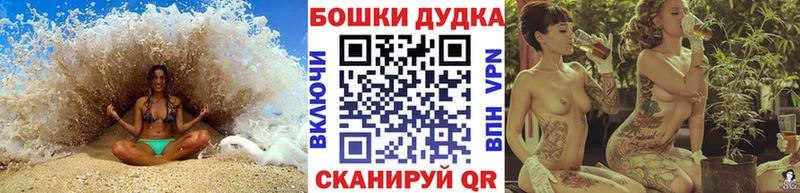 кракен зеркало  Сокол  Бошки марихуана VHQ 